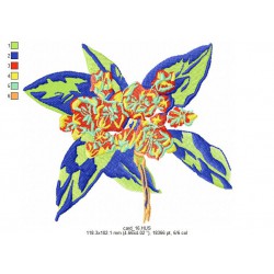 Ricamo 010_Fiori-card_16