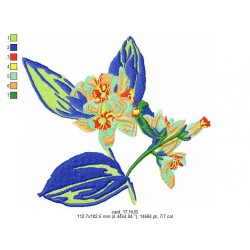 Ricamo 010_Fiori-card_17