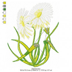 Ricamo 024__Vari1-Daisies2