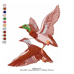 Ricamo 024__Vari1-Mallards