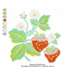 Ricamo 112_Fiori-Martha Pullen030