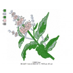 Ricamo 118_Frutta-118001