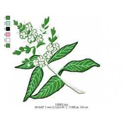 Ricamo 118_Frutta-118003