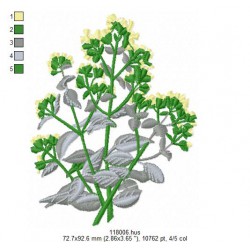 Ricamo 118_Frutta-118006