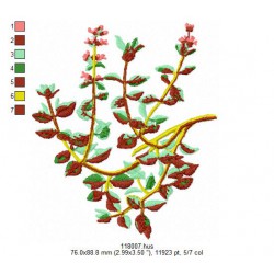 Ricamo 118_Frutta-118007
