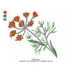 Ricamo 118_Frutta-118012