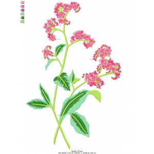 Ricamo 119_grands_motifs(fleurs)-Des02_01