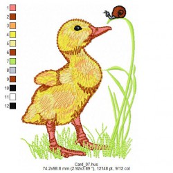 Ricamo 147_AnimaliB-Card_07