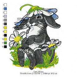 Ricamo 147_AnimaliB-Card_09