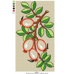 Ricamo 328_autumn-009